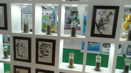 中医中药材中草药展示4K实拍视频（6）