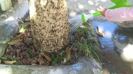小孩给树浇水4K实拍视频(2)