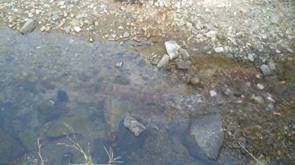 清澈的河水水流4K实拍视频 (2)