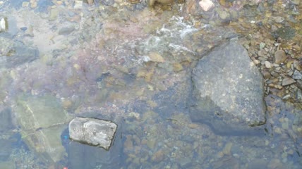清澈的河水水流4K实拍视频 (4)