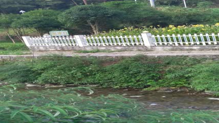 美人蕉人工湿地4K实拍视频（1）
