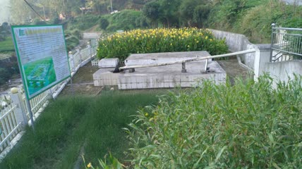 美人蕉人工湿地4K实拍视频（3）