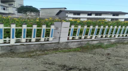 美人蕉人工湿地4K实拍视频（11）