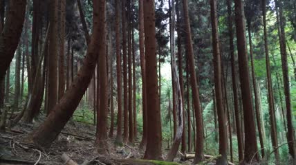 湖北省恩施市富尔山景区景色（4）