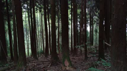 湖北省恩施市富尔山景区景色（8）