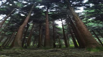 湖北省恩施市富尔山景区景色（10）