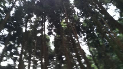 湖北省恩施市富尔山景区景色（17）