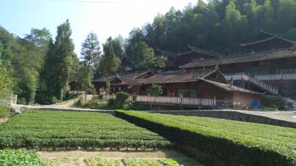 土家吊脚楼院子建筑群4K实拍视频（12）