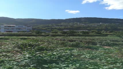 湖北省恩施州麂子渡景区景点4K实拍视频（3）