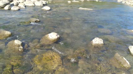 流动的河水水流4K实拍视频（5）