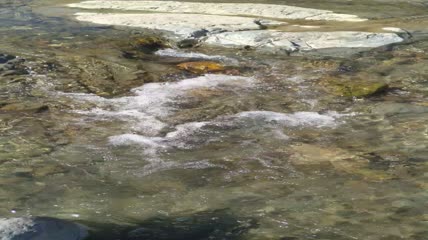 流动的河水水流4K实拍视频（8）
