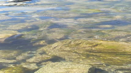 流动的河水水流4K实拍视频（12）