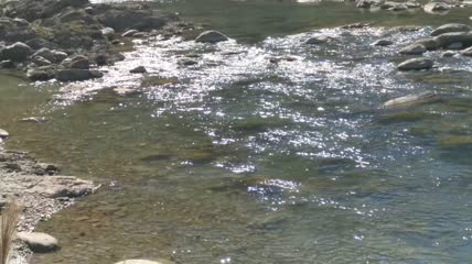 流动的河水水流4K实拍视频（13）