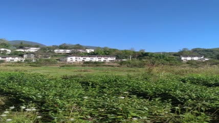 青山绿水环抱下的农村特色民居4K实拍视频（5）