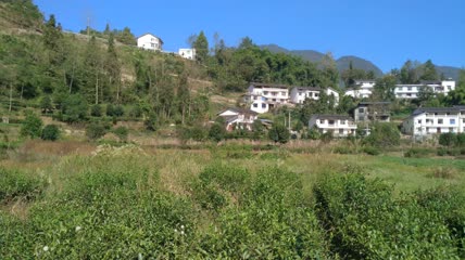 青山绿水环抱下的农村特色民居4K实拍视频（7）