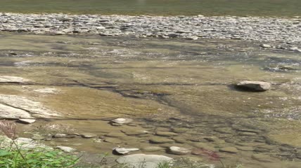 河水水流4K实拍视频（5）
