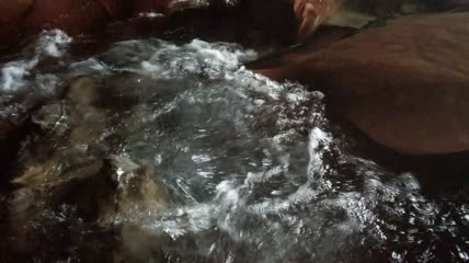 清澈的河水水流4K实拍视频（15）