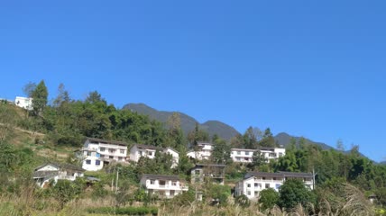 美丽芦苇及农村特色民居4K实拍视频（2）