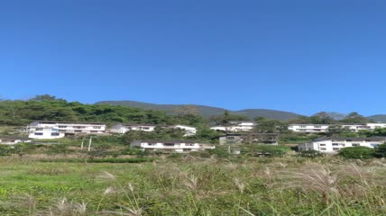 美丽芦苇及农村特色民居4K实拍视频（3）