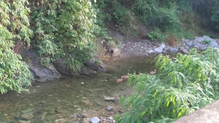 河水水流4K实拍视频素材（2）