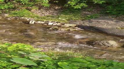 河水水流4K实拍视频素材（4）
