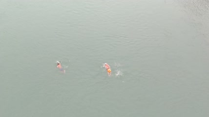 清江河河水水流里冬泳4K实拍视频（1）