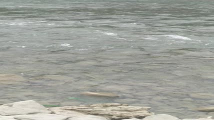 清澈的清江河河水水流4K实拍视频（4）