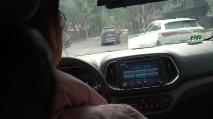 汽车方向盘驾驶(1)