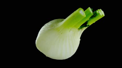 蔬菜特写