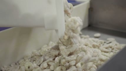 虾厂工人4K视频