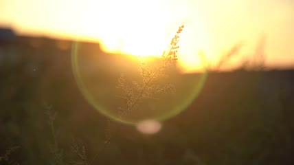 美丽的夕阳实拍