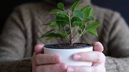 男人穿着毛衣拿着花瓶在室内特写