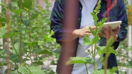 农民使用平板电脑控制农业系统特写