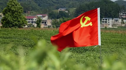 4k升格户外茶园拍摄党旗