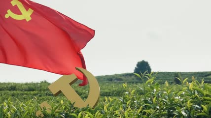 4k升格拍摄党旗党徽