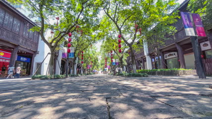 公园林荫道路