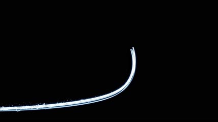 3种粒子光线