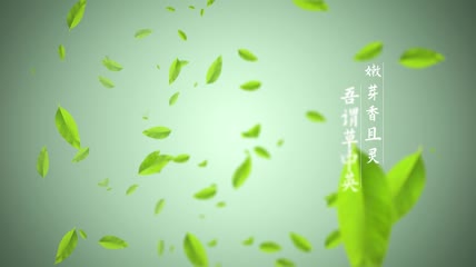 中国风茶叶文字片头AE模板