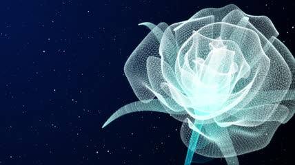 星空背景玫瑰花