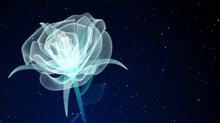 星空背景玫瑰花