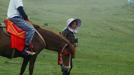 4k实拍草原游客骑马