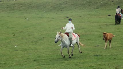 4k实拍草原美女骑马奔跑