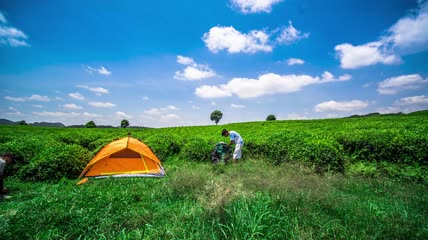 8k延时茶园茶山帐篷露营