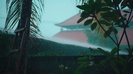 寺庙前的大雨实拍