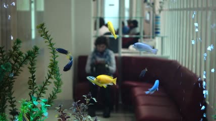 医院候诊室的鱼缸实拍