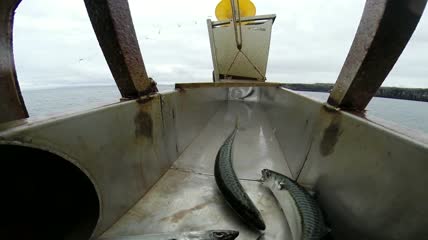 鱼钩在渔船上特写