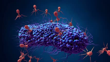 在运动中感染细菌的噬菌体视频