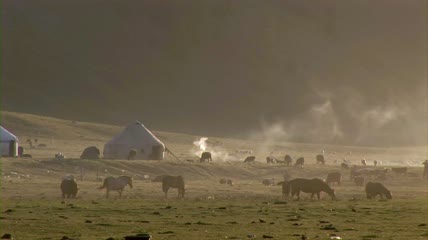中国新疆草原上的帐篷实拍