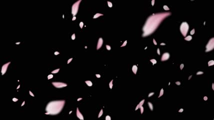 抖音花瓣飘落特效