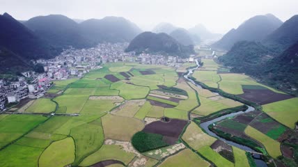 4k航拍农民手工收稻谷